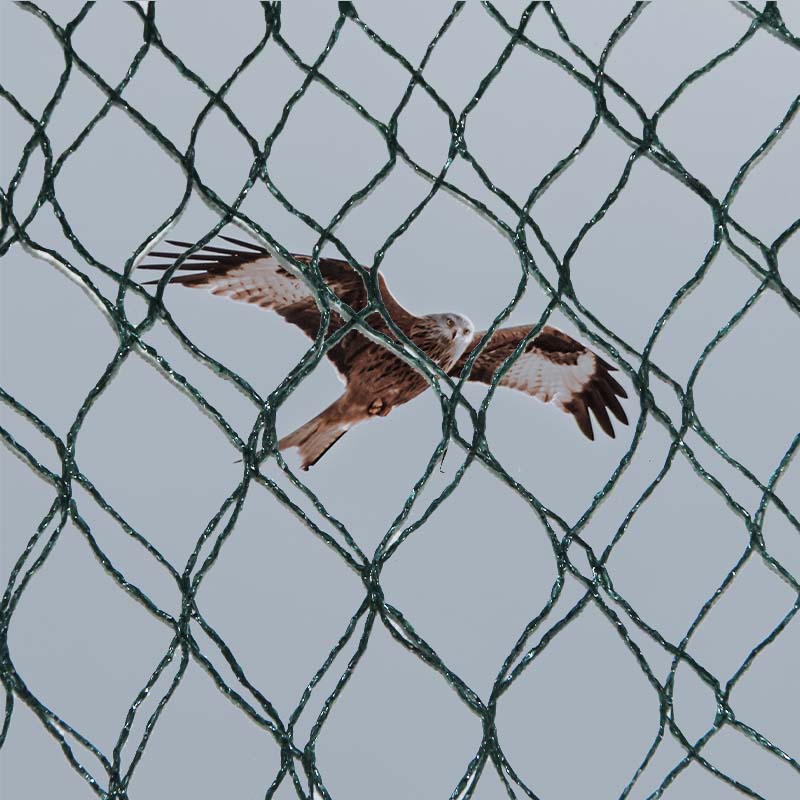 Кои се материјалните избори и предностите и недостатоците на мрежите за заштита од птици?