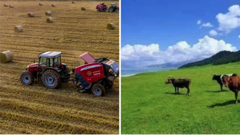 Примена на обвивка од мрежа за бали во земјоделски дејности