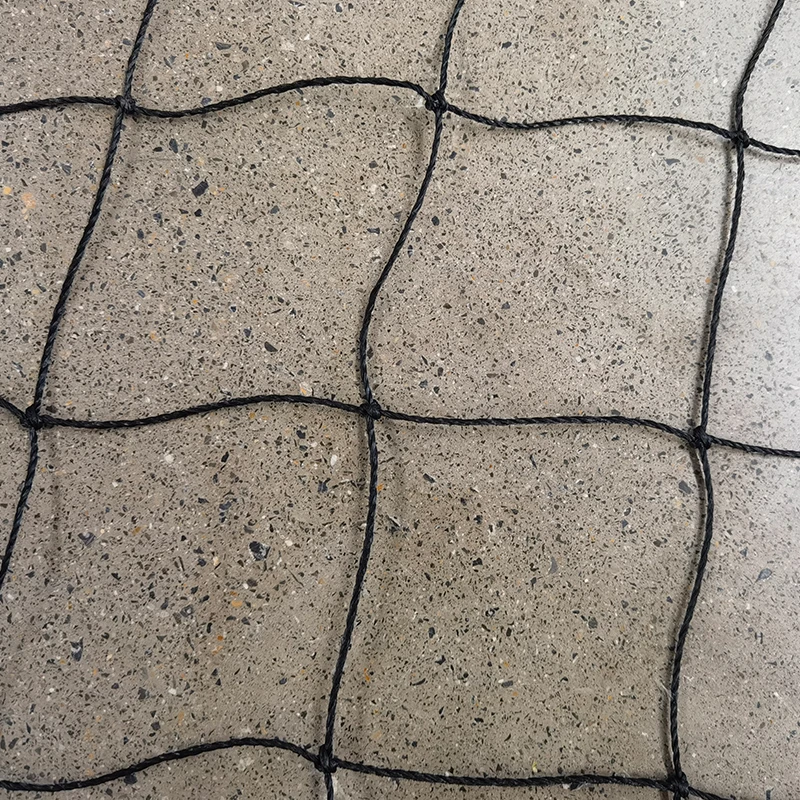 Улогата на мрежите за крикет