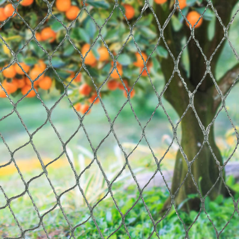 Заштитете ги вашите посеви, имот и инвестиции со нашата тешка мрежа за птици!