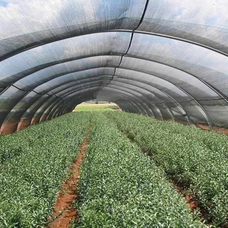 Платно за градинарски сенки за растенија 40% блокирано од сонце